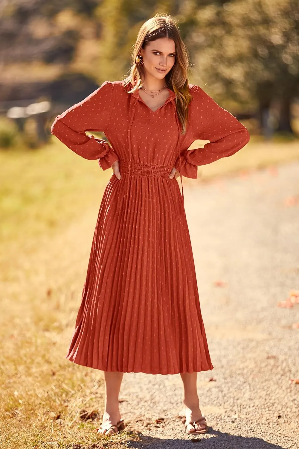 PRETTYGARDEN Women's 2025 Spring Fall Midi Dress Casual Long Sleeve V Neck Swiss Dot Pleated A Line Flowy Dresses